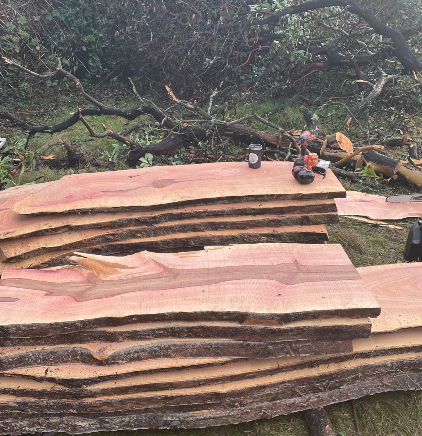 Freshly milled cedar slabs