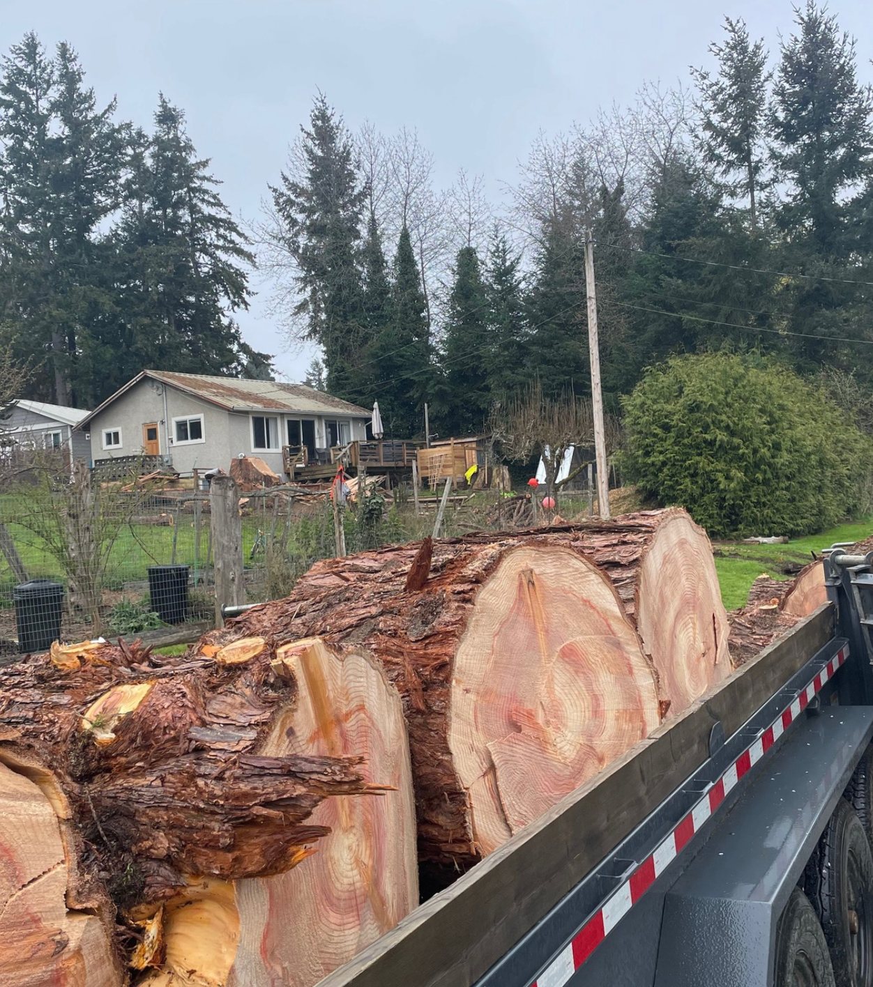 Large cedar rounds loaded on trailer