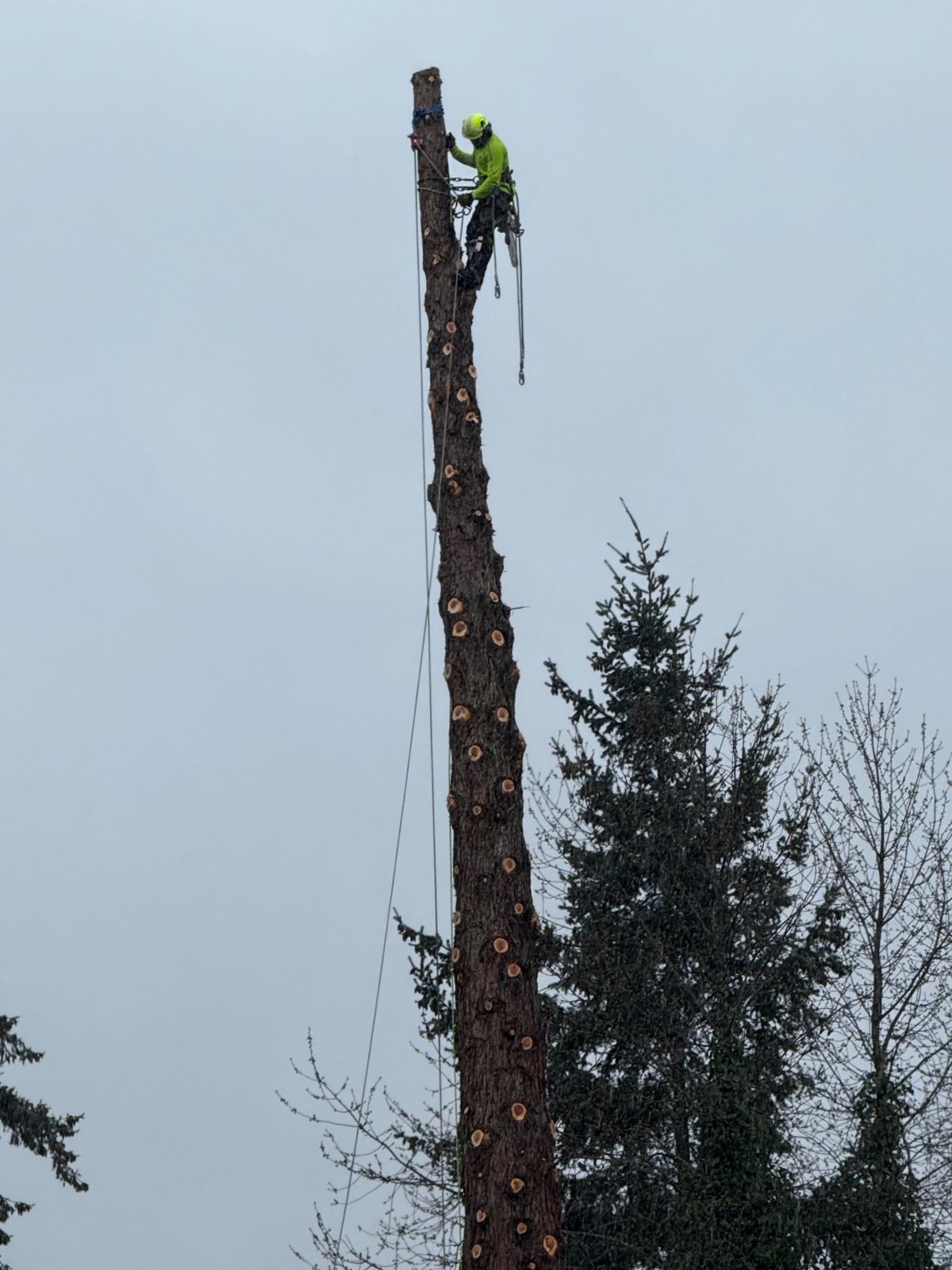 Climber high on a spar